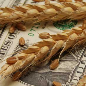 harvesting investment losses