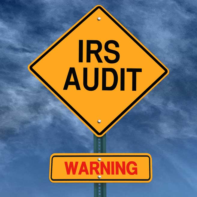 IRS-Audit-Techniques-Guides