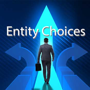choosing-right-business-entity