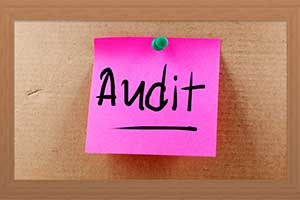 easiest-way-to-survive-an-IRS-audit