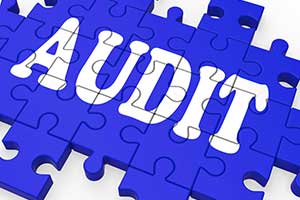 Prepare-for-IRS-Audit