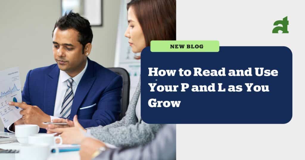 how to read your profit and loss