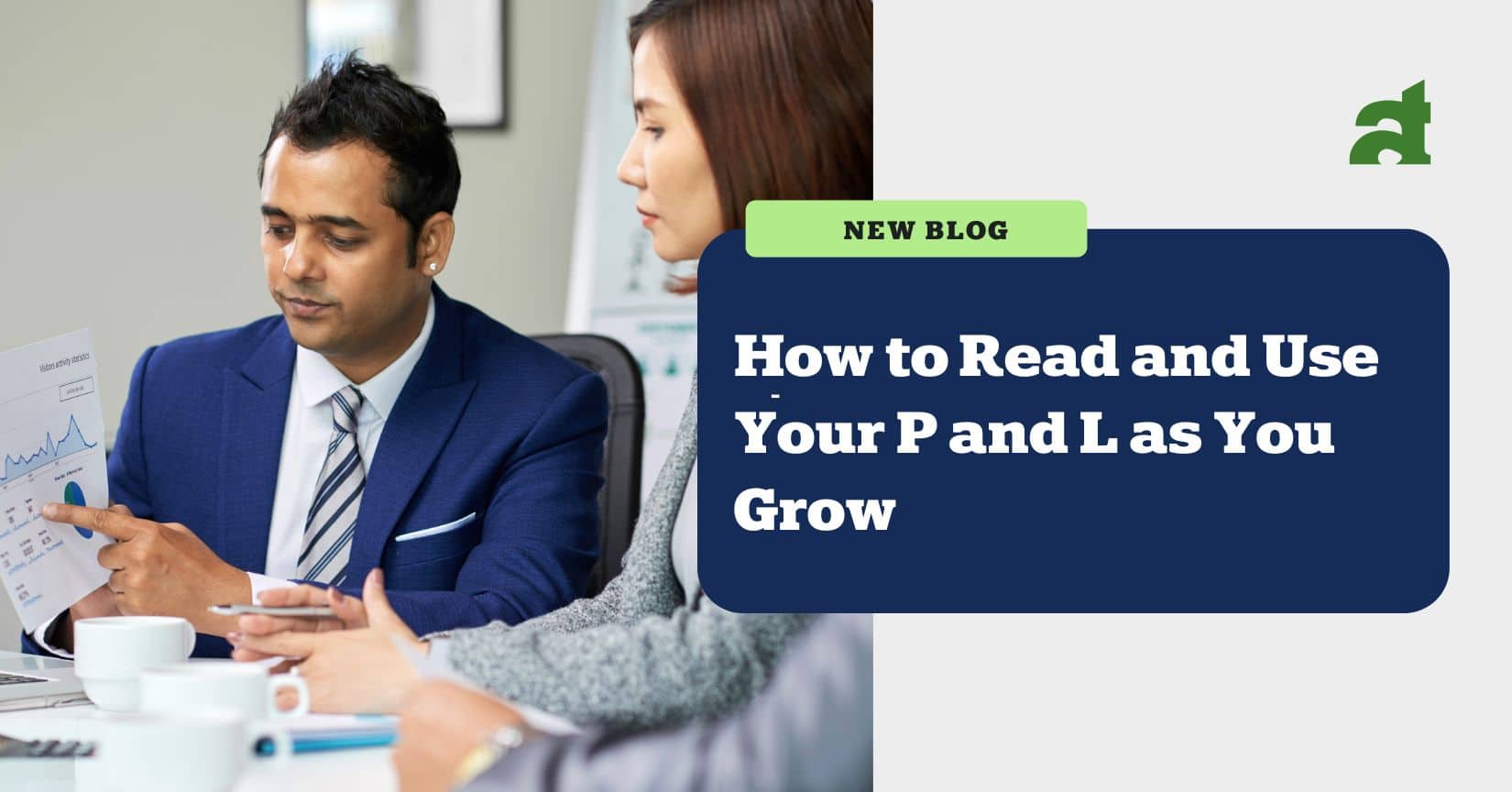 how to read your profit and loss