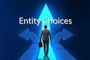 choosing-right-business-entity