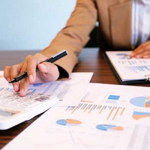 information-IRS-auditors-use